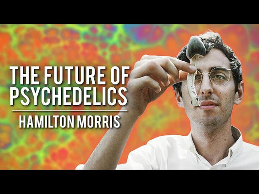 Chris Williamson's Modern Wisdom: Hamilton Morris - Creating the Future of Psychedelics