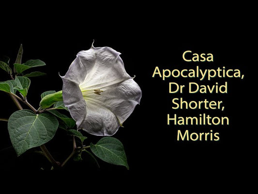 Theodore  Payne Foundation: Casa Apocalyptica, Dr. David Shorter, Hamilton Morris (Hamilton's Pharmacopeia)
