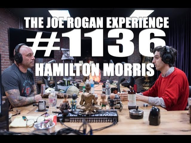 Joe Rogan Experience #1136: Hamilton Morris