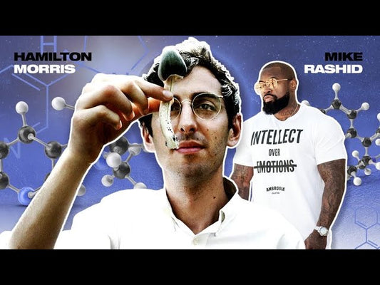 Mike Rashid: Hamilton Morris on Psychedelics